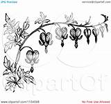 Bleeding Heart Flower Clipart Flowers Vintage Border Tattoo Vine Vector Coloring Retro Royalty Drawing Designs Tattoos Hearts Prawny Clipartof Drawings sketch template