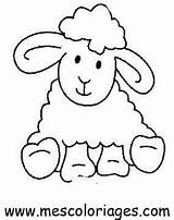 Ovejas Colorat Pintar Oi Oveja Mewarnai Domba Animale Baranek Planse P01 Pecora Mouton Schaf Desene Paud Wielkanoc Schafe Carneirinhos Turma sketch template