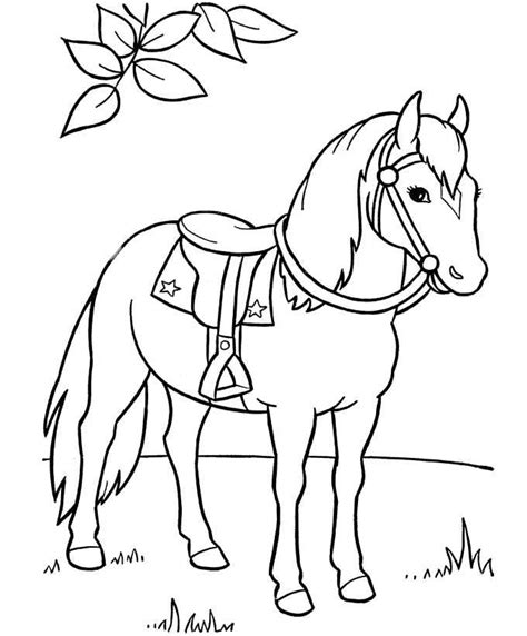 pony coloring pages   coloringfoldercom horse coloring