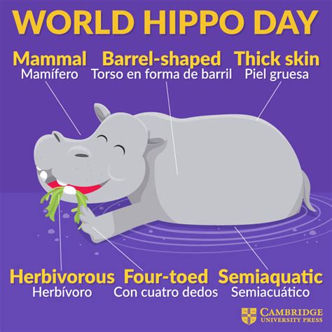 world hippo day cambridge blog