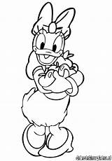 Coloring Pages Duck Daisy Print Cartoons Colouring Popular Coloringtop Comments sketch template