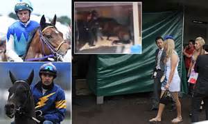 melbourne cup admire rakti mystery deepens amid rumours he couldn t win daily mail online