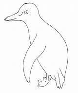 Pinguin Colorat Planse Desene Educative Trafic sketch template