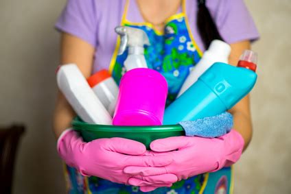 house cleaner job duties  description