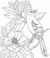 Coloring Mockingbird Pages Coloringbay sketch template