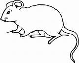 Mouse Coloring Rat Pages Kids Clipart Mice Printable Drawing Print Cute House Colouring Mole Template Color Rats Realistic Categories Supercoloring sketch template