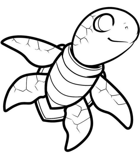 sea turtle coloring page turtle coloring pages pattern