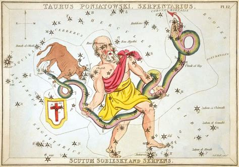 ophiuchus   constellation   zodiac