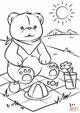 Teddy Picnic Bear Coloring Bears Pages Printable Baby Drawing Kids Outline Scene Easy Summer Children Color Sheets Print Preschool Crafts sketch template