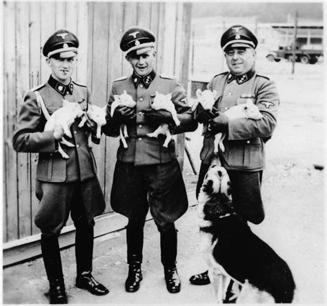 Three Members Of The Ss Staff In Gross Rosen Pose Holding