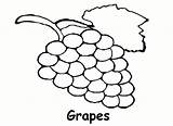 Coloring Pages Grapes Draw Printable Fruits Print Mouse Coloringtop sketch template