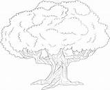 Coloring Tree Life Pages Comments sketch template