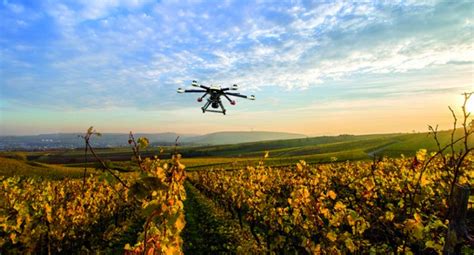 drones  agricultura los beneficios de utilizar rpas acg drone
