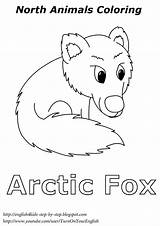 Arctic Animals Coloring Fox Worksheets Kids Winter Polar Pages Children Animal Preschool Song Artic Step Songs Bear Printable English4kids Crafts sketch template