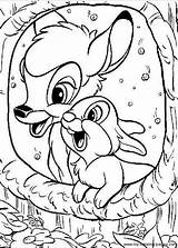 Bambi Coloring Coloriages sketch template