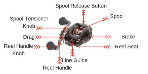 baitcaster  spinning reel  pros  cons buying guide