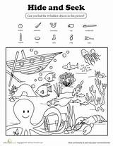 Seek Hidden Worksheets Hide Printable Ocean Preschool Grade Kids Coloring Printables Kindergarten Find Worksheet Activities Objects Animals First Search Summer sketch template