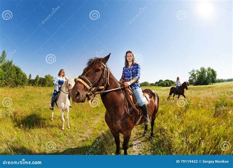 drie vrouwelijke equestrians die paarden op gebied berijden stock foto image  paardenplant