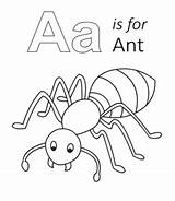 Ant Coloring Letter Drawing Kids Lowercase Uppercase Pages Words Printable Template Sheet Through Printables Letters Alphabet Sketch Paintingvalley sketch template