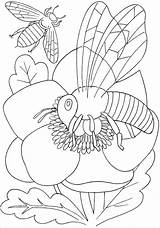 Coloring Insect Pages Bee Print Coloringbay sketch template