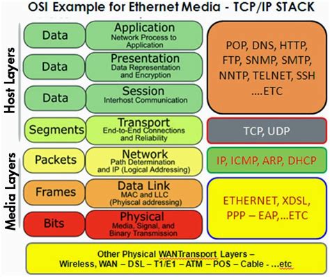 Which Layer Of The Tcp Ip Stack Combines The Osi Model Physical And