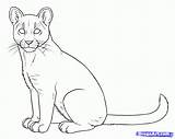 Coloring Lion Mountain Puma Cougar Pages Draw Outline Drawing Cougars Drawings Cub Color Only Step Popular Coloringhome Dragoart sketch template