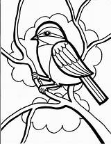 Coloring Pages Bird Animal Clipartmag Cute Animals Kids sketch template