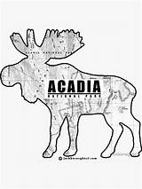 Acadia Moose Topographic Durable Kiss sketch template