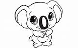Koala Coloring Pages Cute Animal Kids Baby Printable Cartoon Animals Color Drawing Print Printables Books Bears Children Penguin Little Friends sketch template