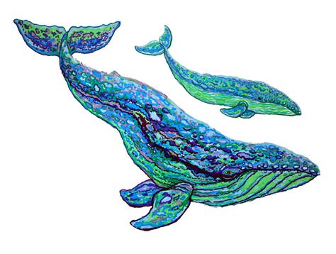 whales drawing  nick gustafson fine art america