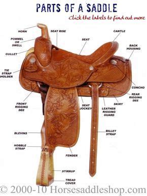 western saddle diagram western saddle parts diagram horse saddle shop horse saddles