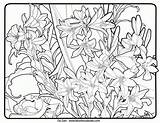Coloring Pages Patterns Printable Mucha Adults Adult Deco Nouveau Alfons 775d Print sketch template