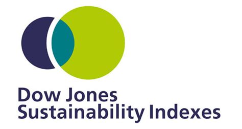 djsis corporate sustainability assessment decoding sustainability