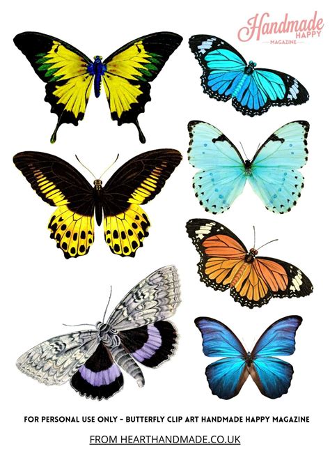 printable butterfly clipart pages butterfly room butterfly clip