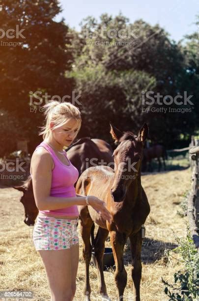 dziewczyna z nowo narodzonym koniem zdjęcia stockowe i więcej obrazów