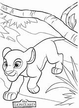 Lion Coloring Kiara Kion Leon Guardia Dibujos Bestcoloringpagesforkids Fuli sketch template