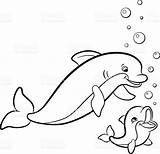 Dolphin Dolphins Scribblefun sketch template