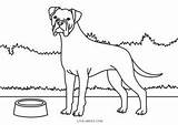 Coloring Dog Pages Boxer Printable Kids sketch template