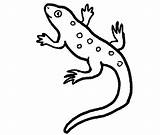 Lizard Coloring Drawing Pages Horned Template Kids Gecko Reptiles Reptile Toad Color Printable Getdrawings Ceramic Tile Monitor Cute Templates Colouring sketch template