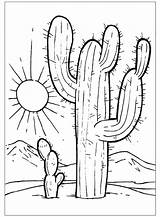 Cactus Colorare sketch template