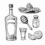 Tequila Glass Shaker Mexican Geschoten Schudbeker Mexicaanse Kalk Zoute Vectortekening Getdrawings Blauwe Agave sketch template