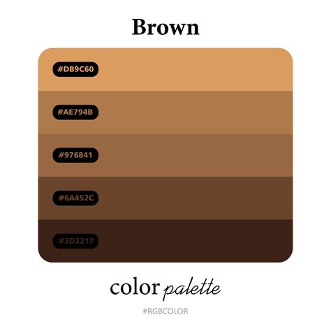 brown color palettes accurately  codes perfect