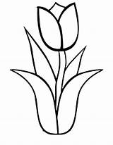 Tulip Drawing sketch template