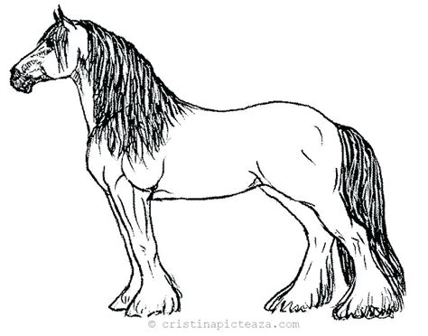 horse coloring pages drawing sheets  horses