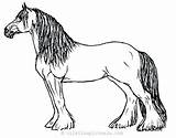 Horse Coloring Pages Printable Realistic Clydesdale Drawing Horses Color Kids Quarter Friesian Pinto Mustang Print Adults Spirit Appaloosa Draft Cai sketch template