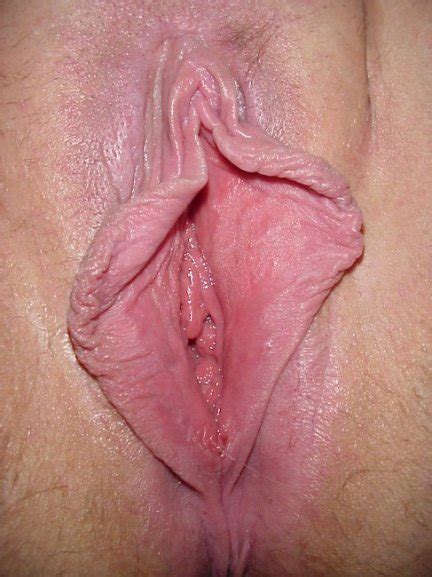 close up pussy large labia big pussy lips meaty pussy love button butterfly image uploaded by