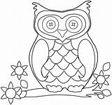 Coloring Owl Pages Preschool Popular sketch template