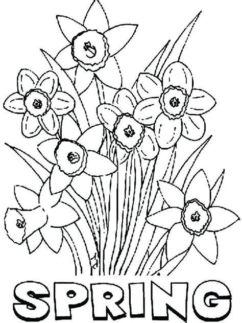 spring flowers coloring pages  spring coloring pages