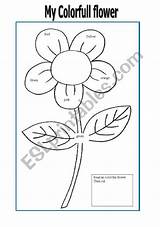 Flower Color Worksheets Worksheet Preview sketch template