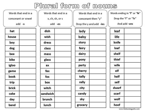 plural form  nouns worksheet  grade   practice worksheets